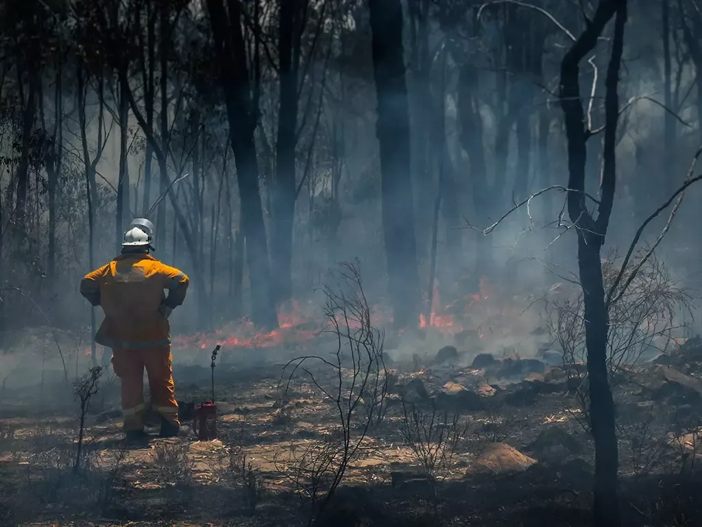 Aus FireFighter Blog.jpg